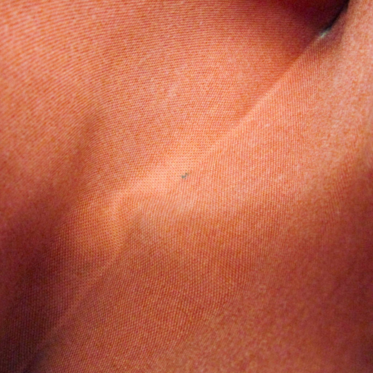 Image 20