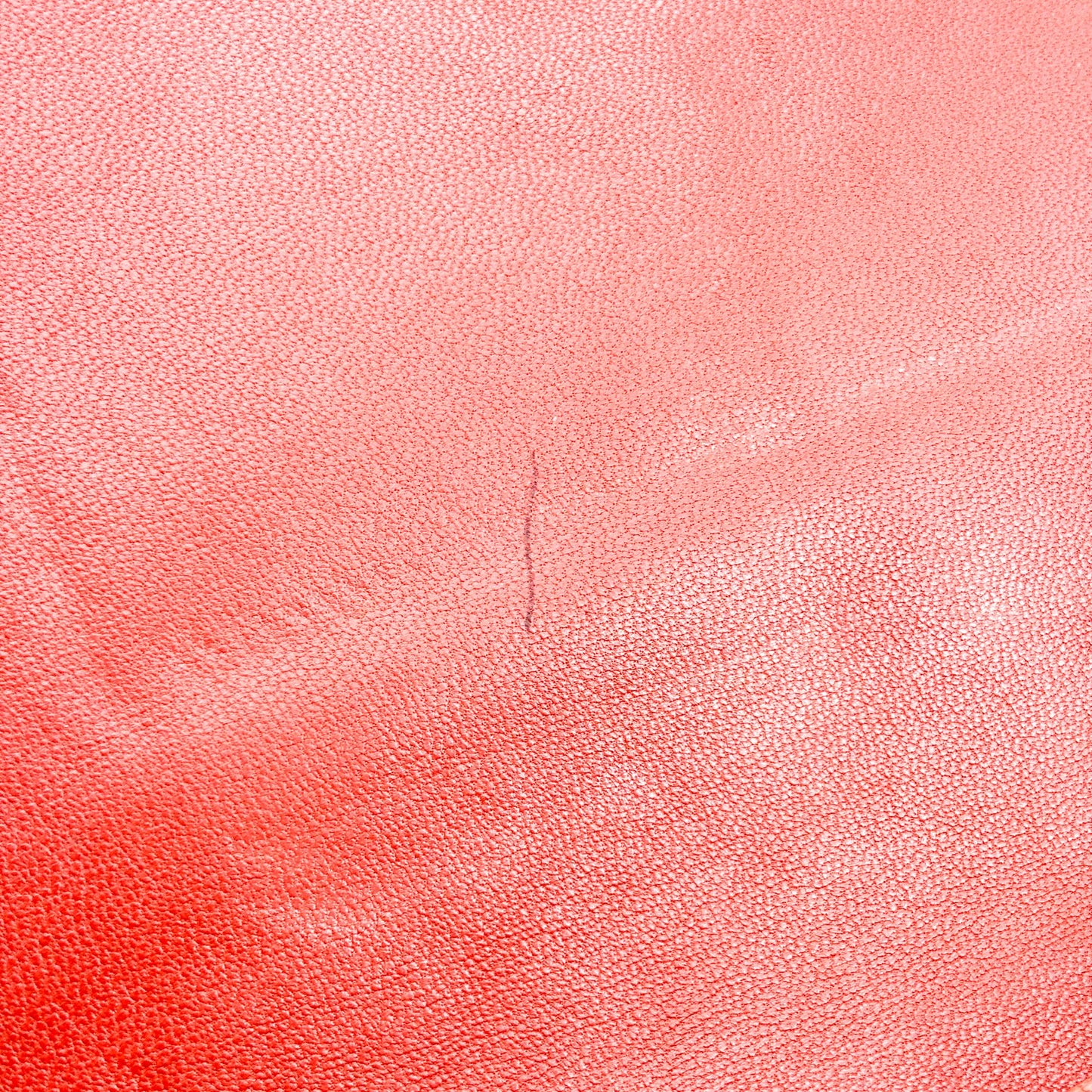 Image 14