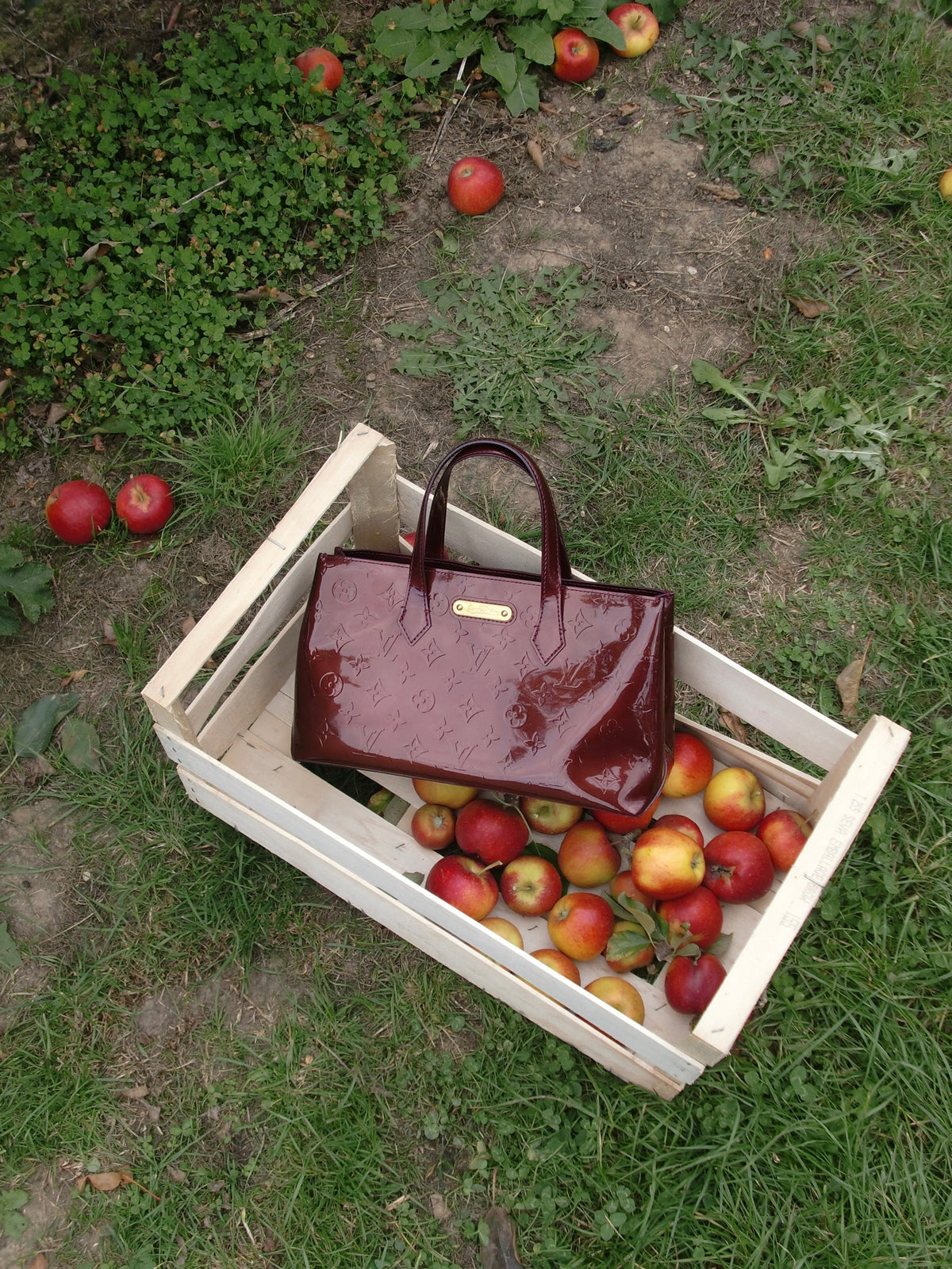 Burgundy Is the New Neutral: The Bag Colour Taking Over Fall