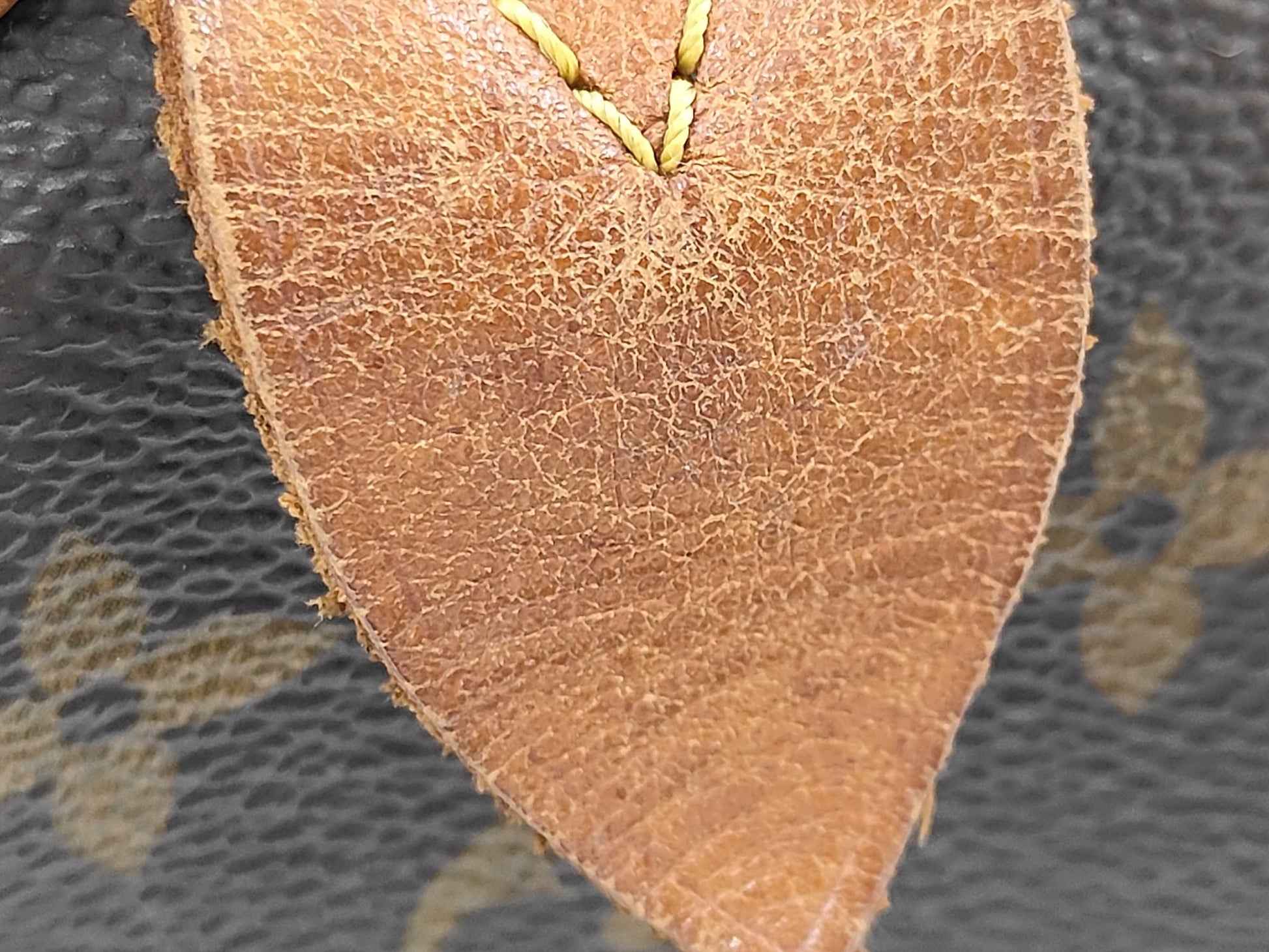 Image 10