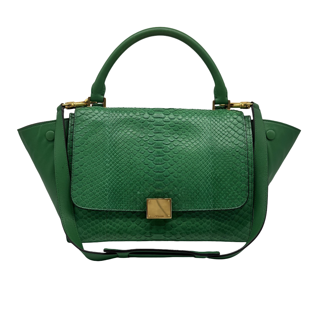 Celine Trapeze Leather with Python Medium