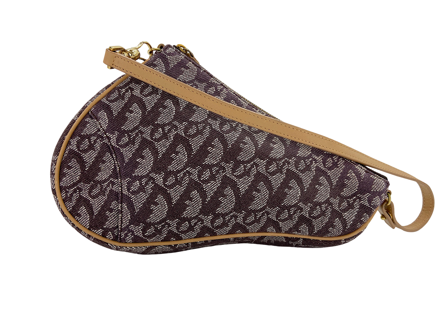 Christian Dior Saddle Canvas Mini