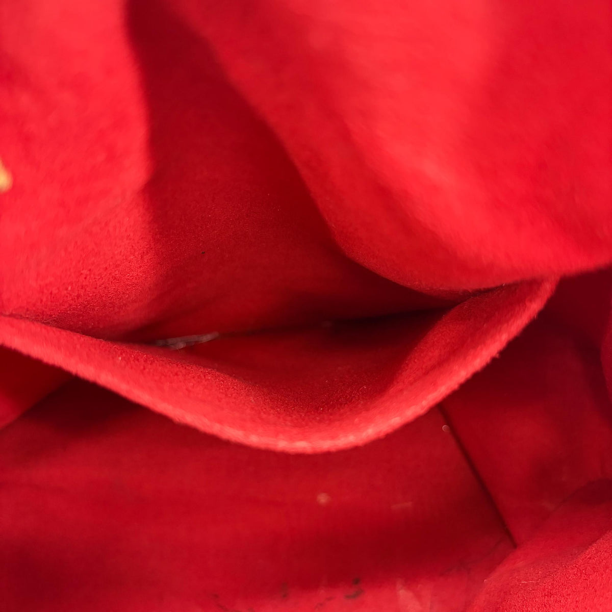 Image 15
