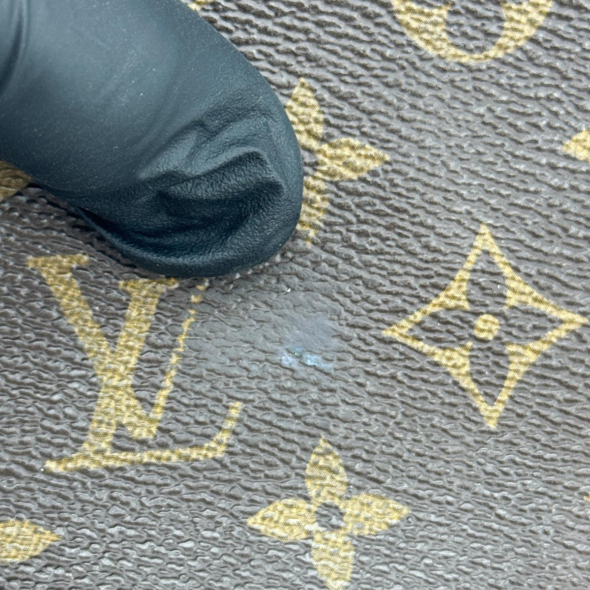 Image 15