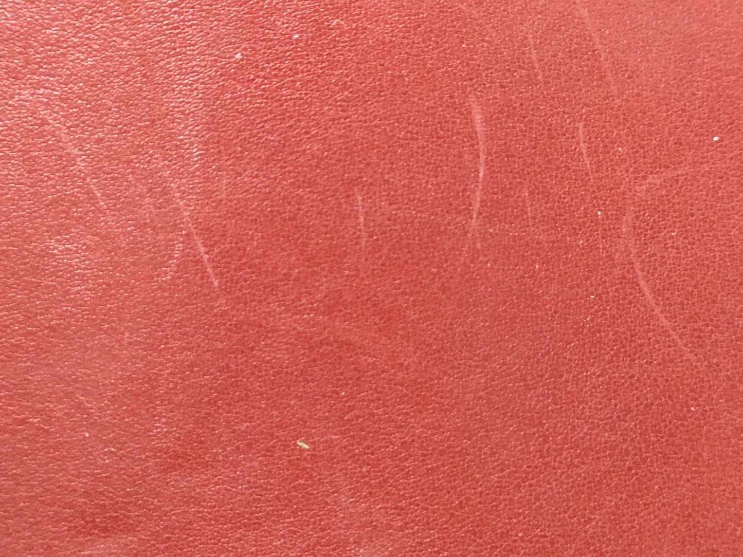 Image 9