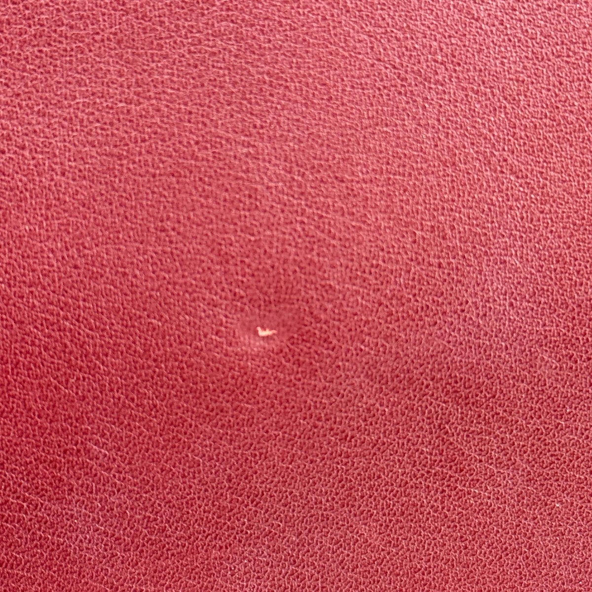 Image 19