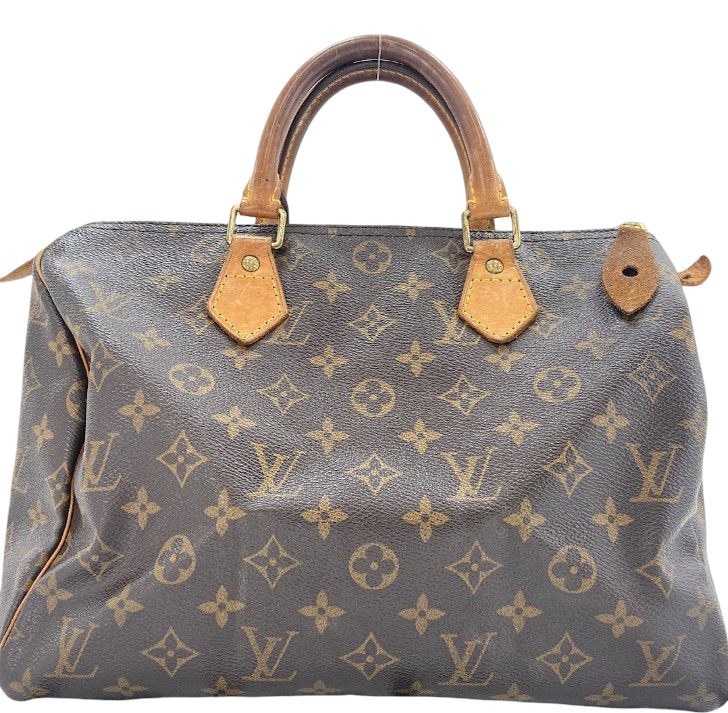 Louis Vuitton Speedy Monogram Multicolor 30