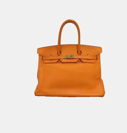 Hermes Birkin Orange Fjord with Gold Hardware 35