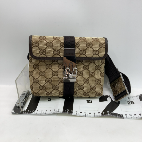 Gucci GG Canvas Bag Canvas medium