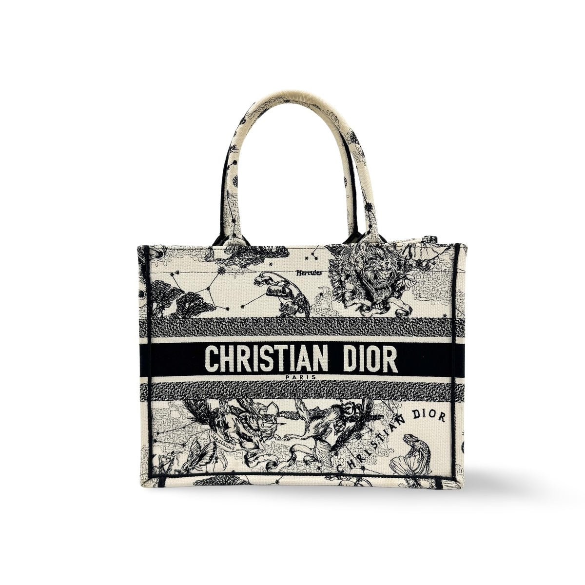 Christian Dior Book Embroidered Canvas Medium
