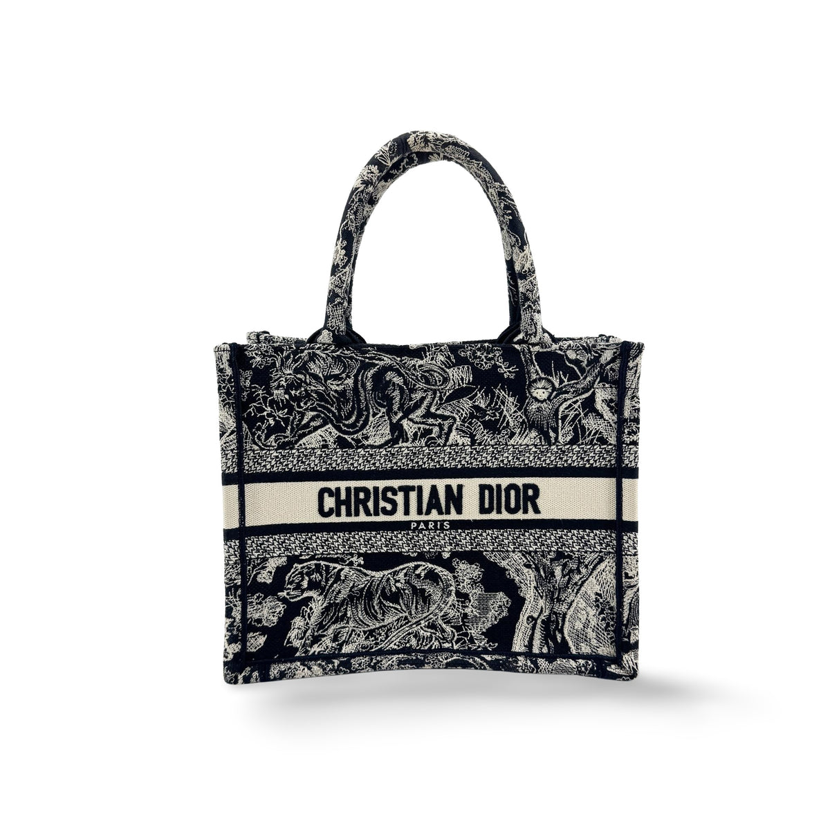 Christian Dior Book Embroidered Canvas Small