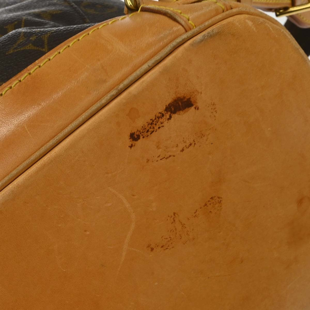 Image 13