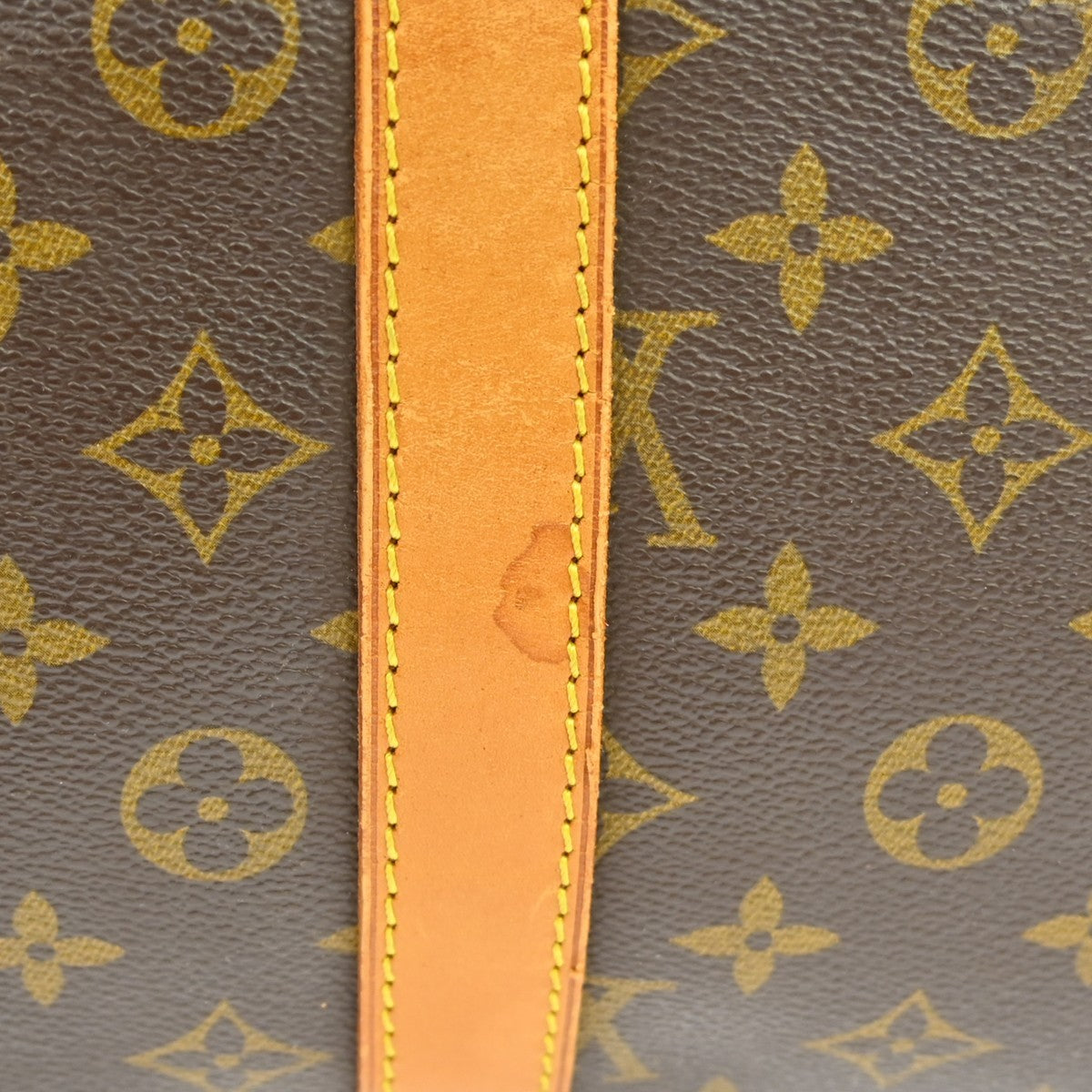 Image 13