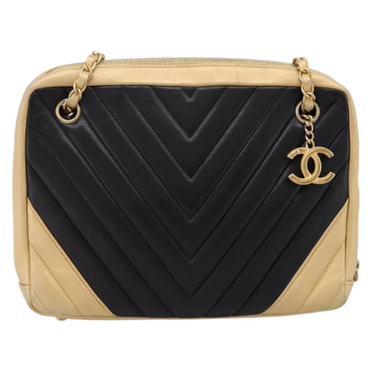 Chanel Camera Chevron Lambskin Medium