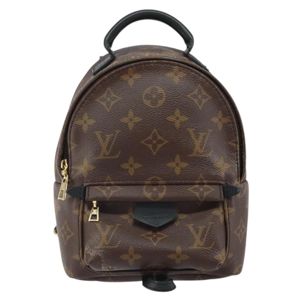 Louis Vuitton Palm Springs Backpack Monogram Canvas Mini