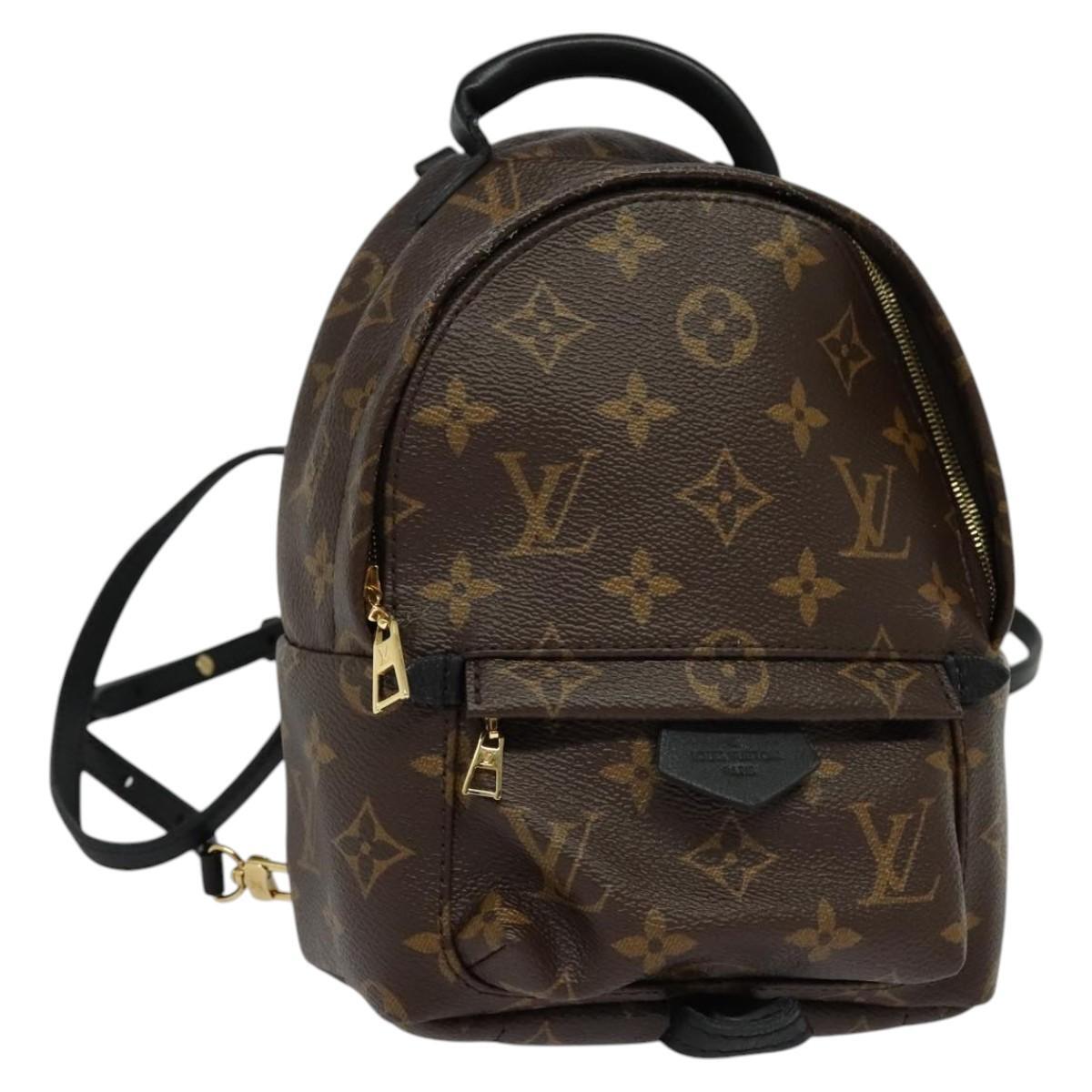 Louis Vuitton Palm Springs Monogram Canvas Mini