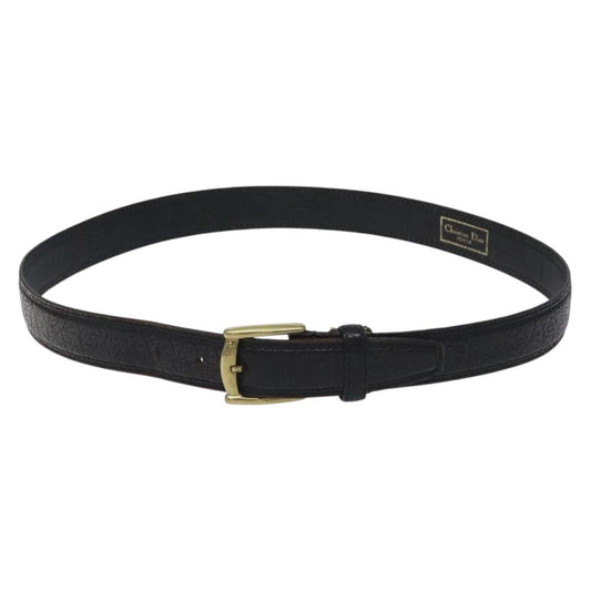 Christian Dior Vintage Oversized Belt Metal and Leather Product Image