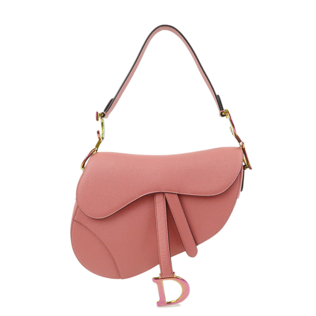 Christian Dior Saddle Embroidered Printed Leather Mini