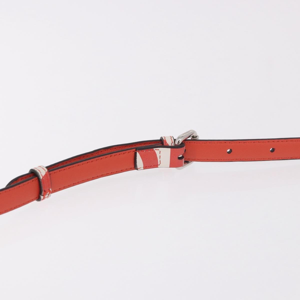 Image 21