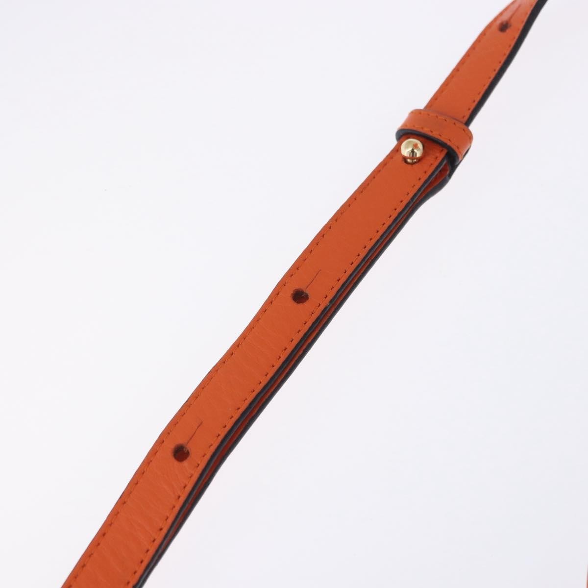 Image 20