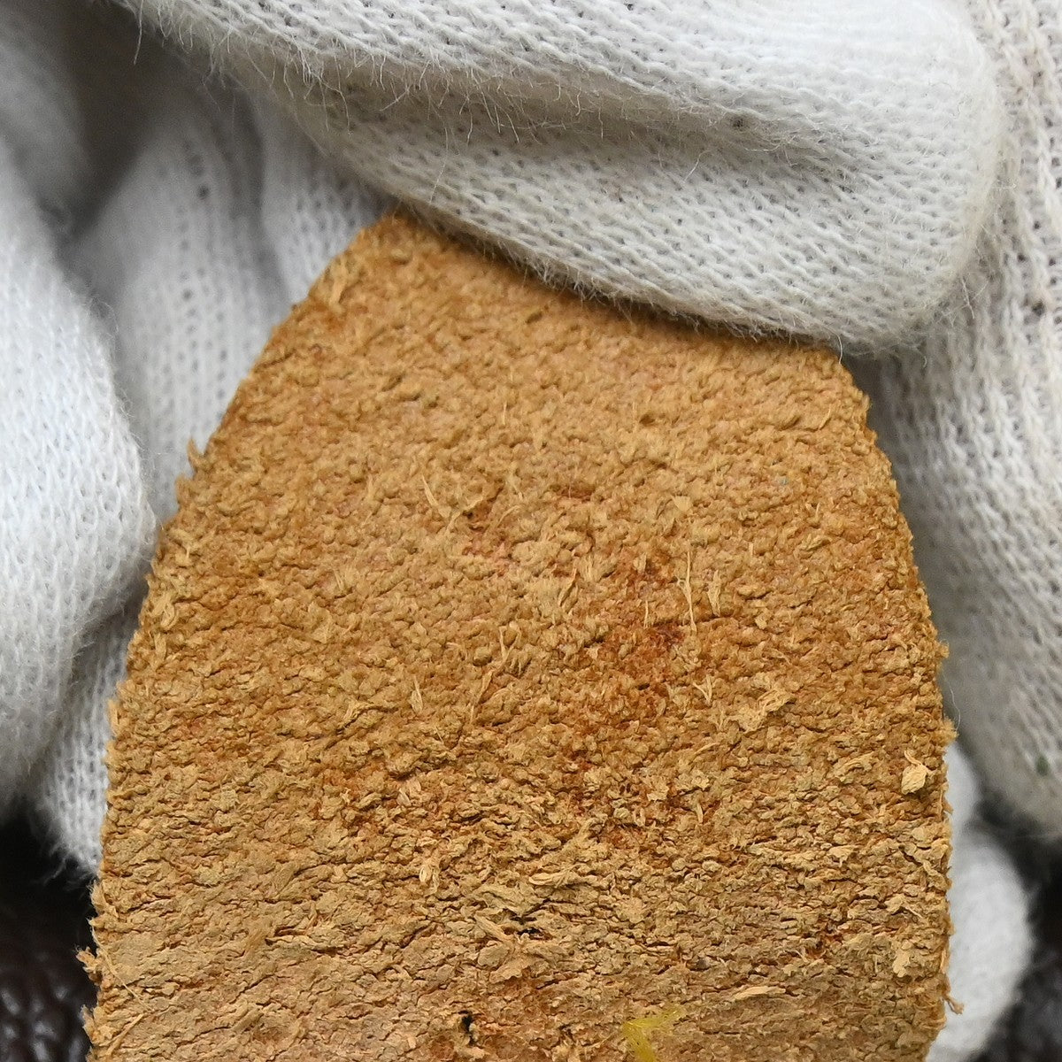 Image 13