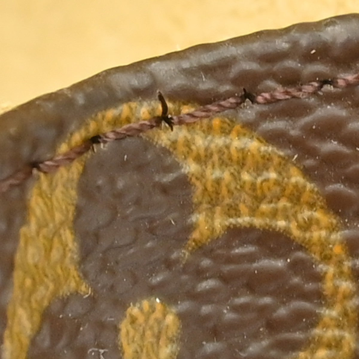 Image 13