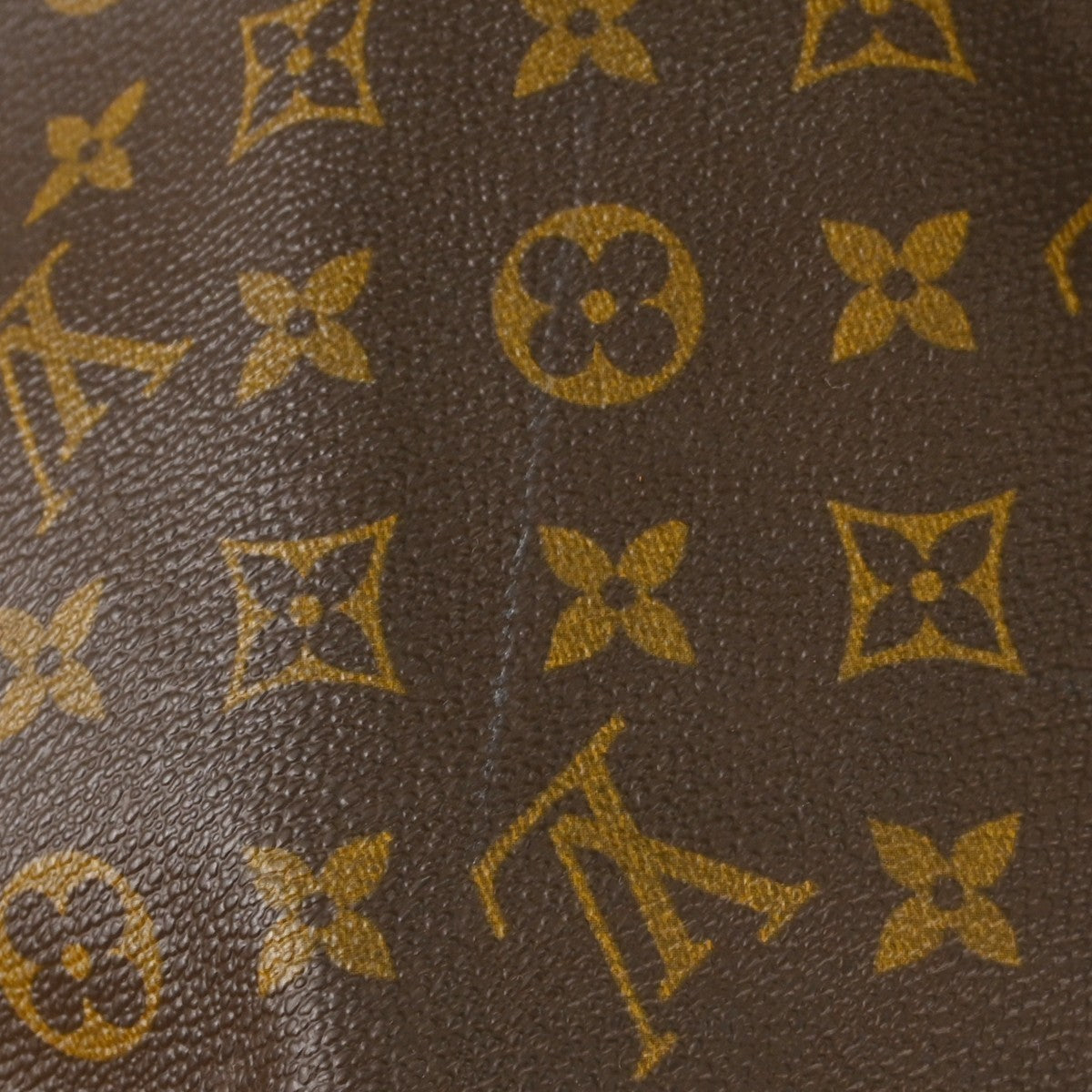 Image 13