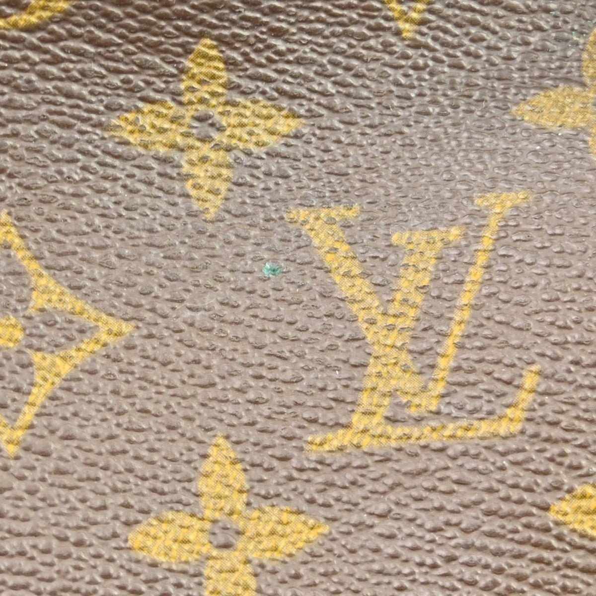 Image 15