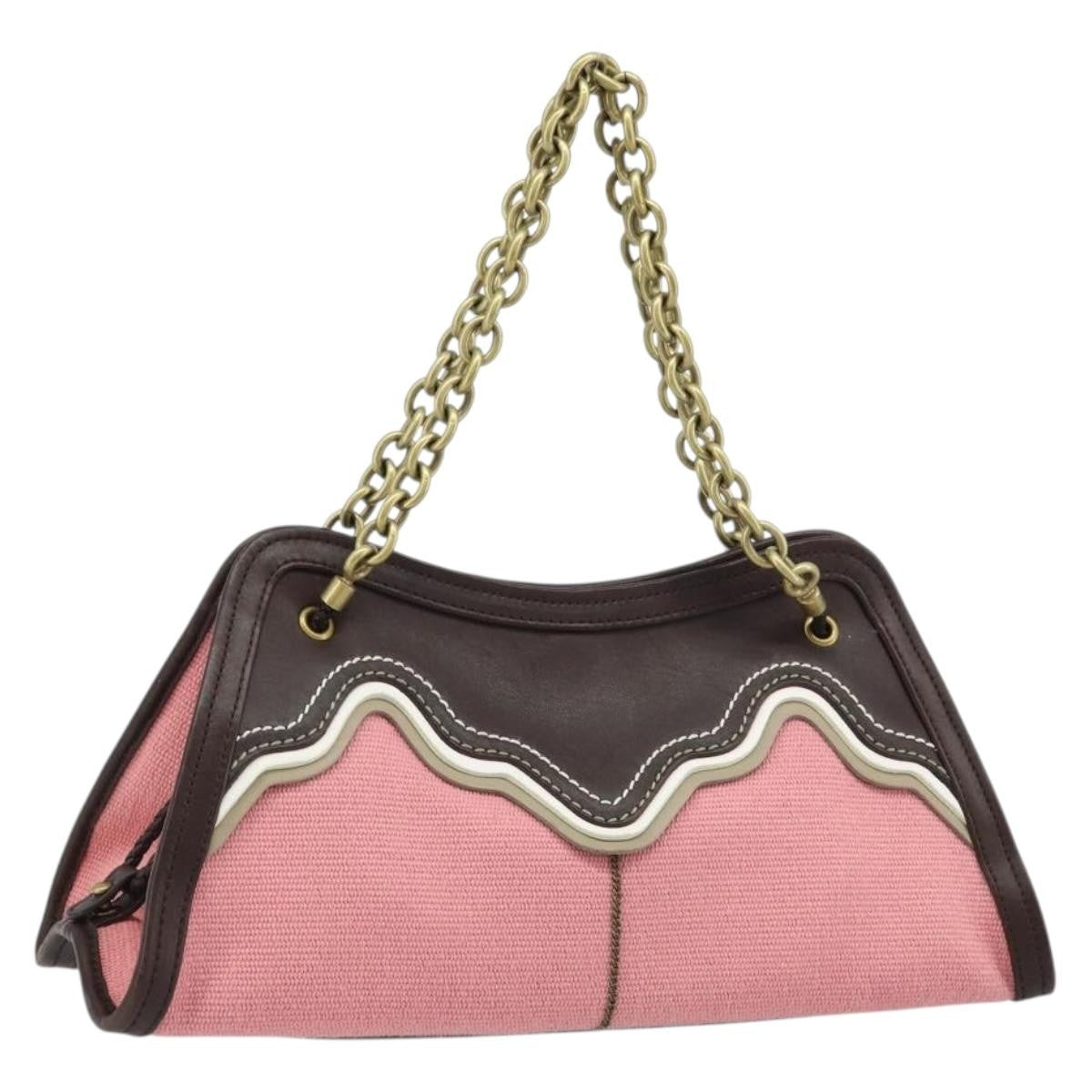 Bottega Veneta Chain Handle Canvas Product Image