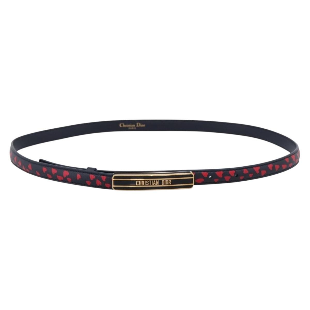 Christian Dior Vintage belt Canvas Product Image