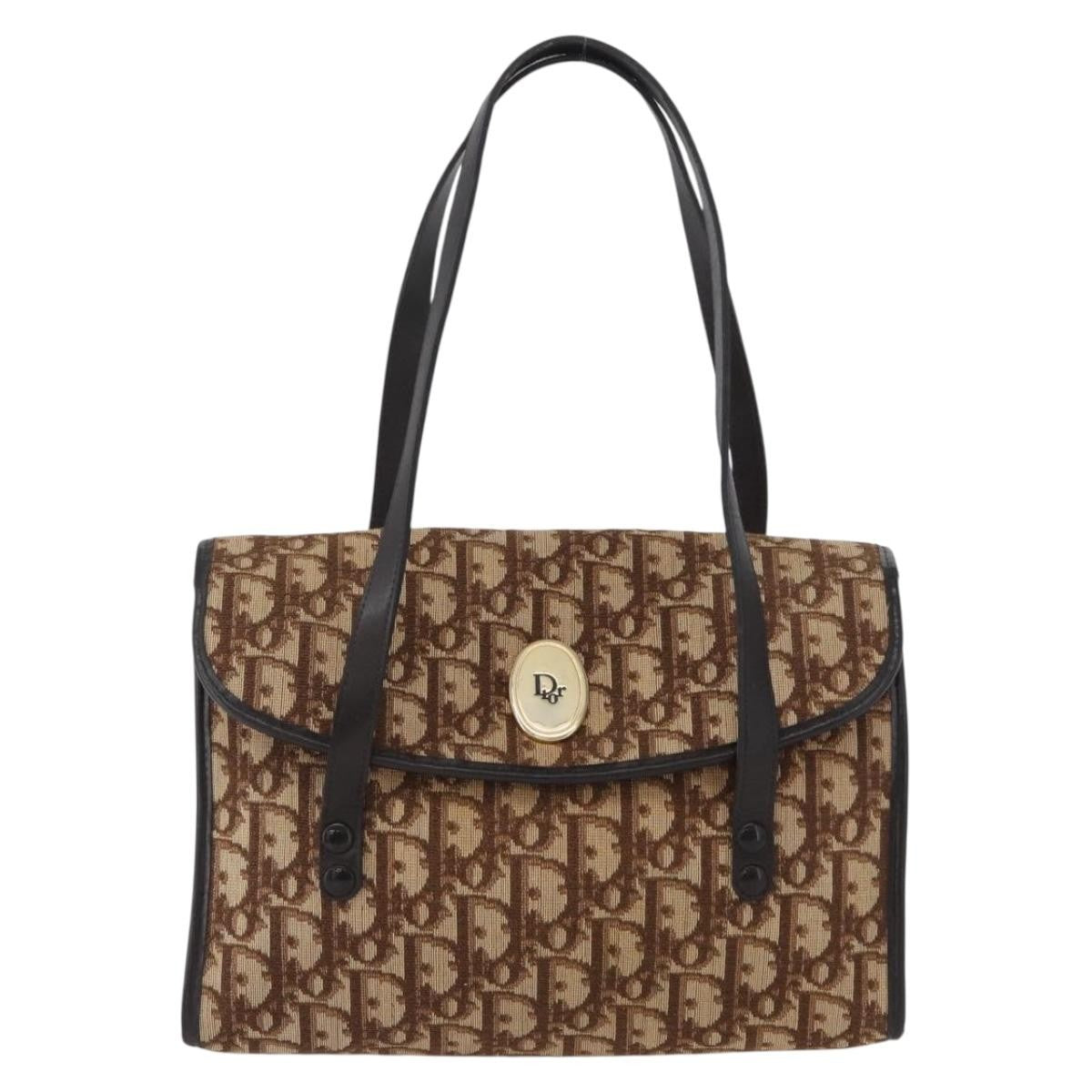 Christian Dior Trotter Canvas Product Image