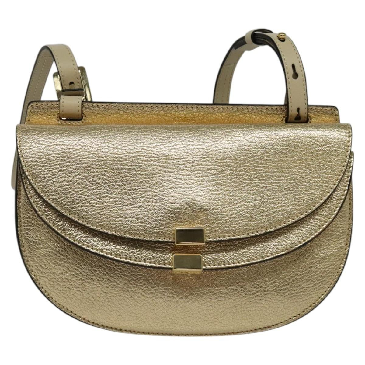 Chloe Georgia Leather Mini
