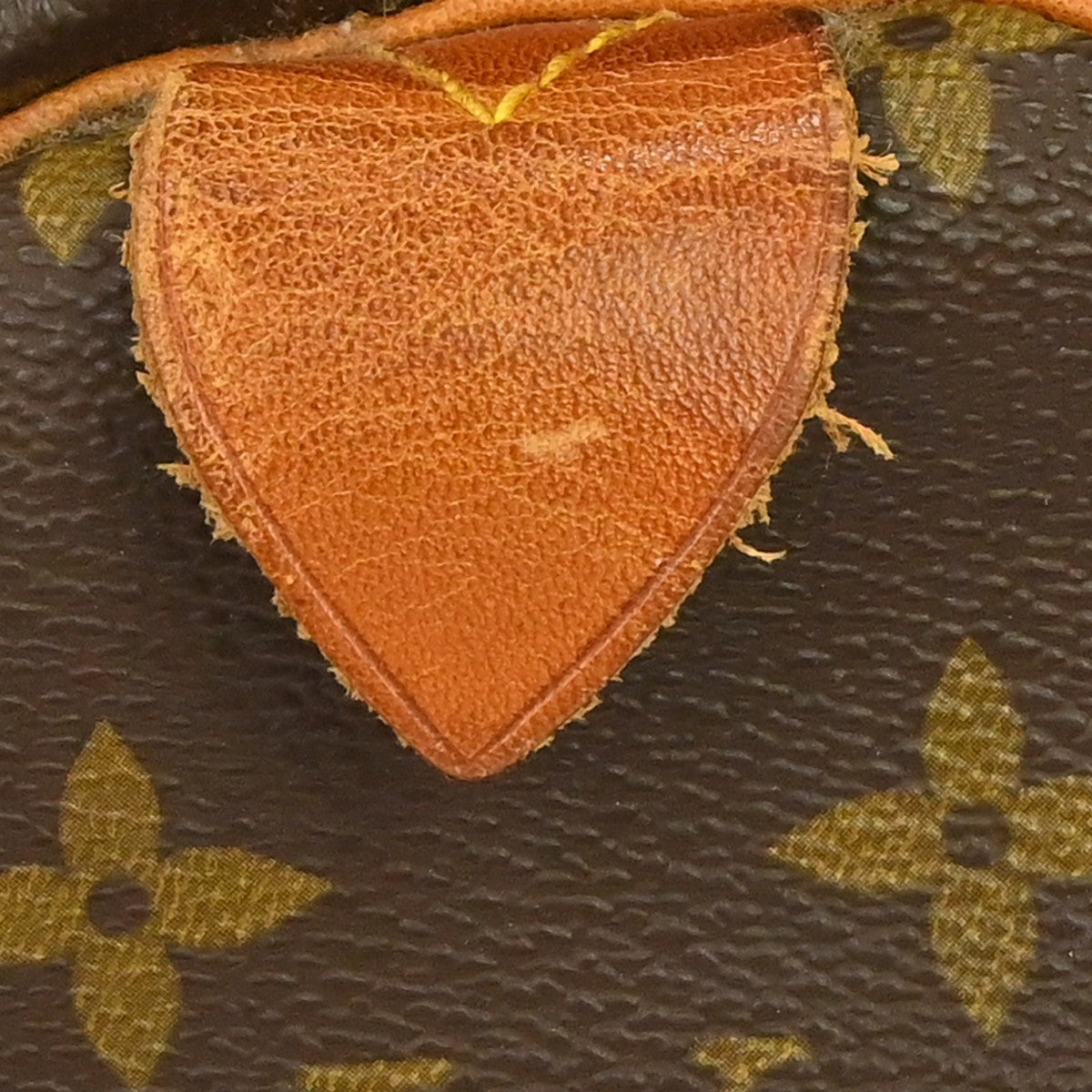 Image 13