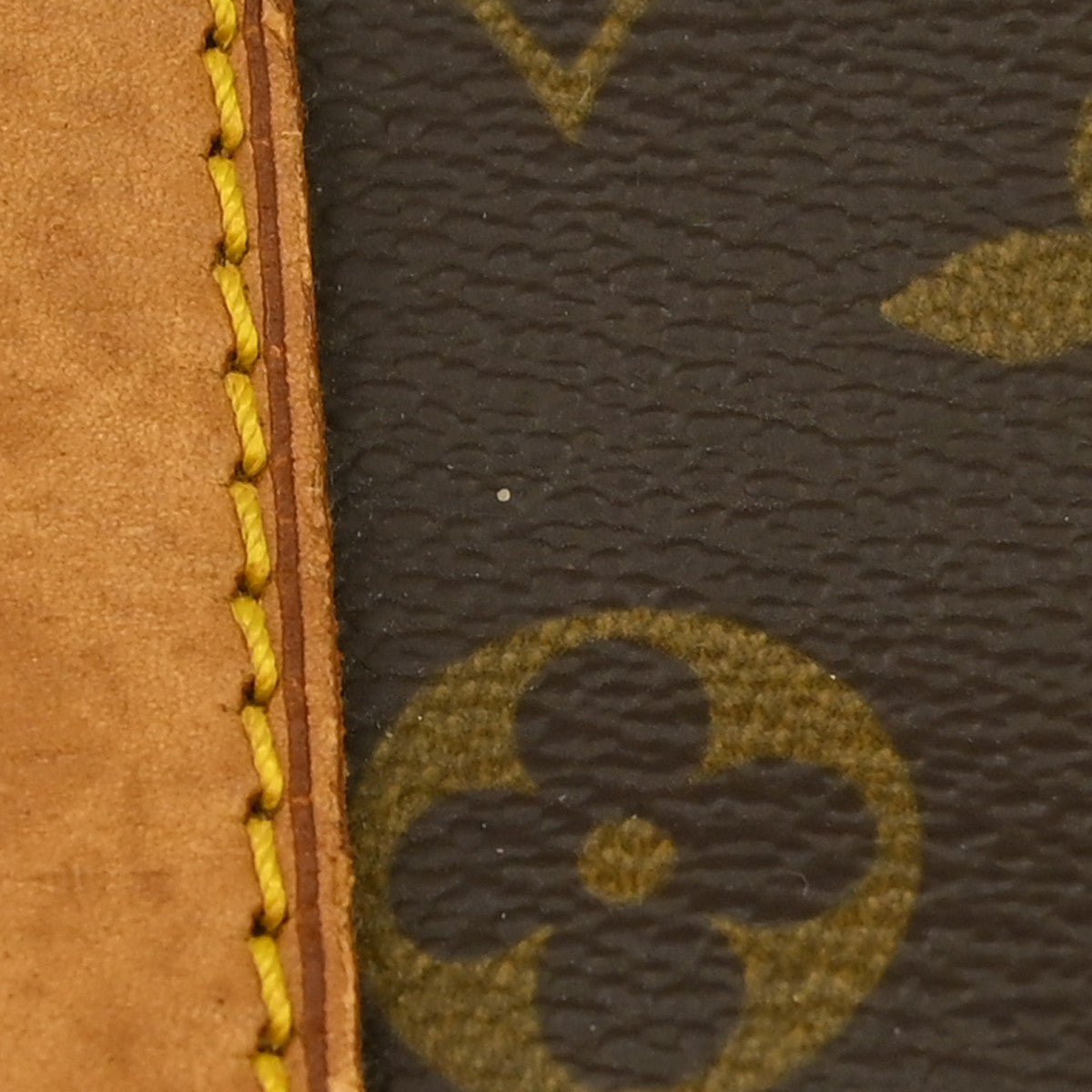 Image 14