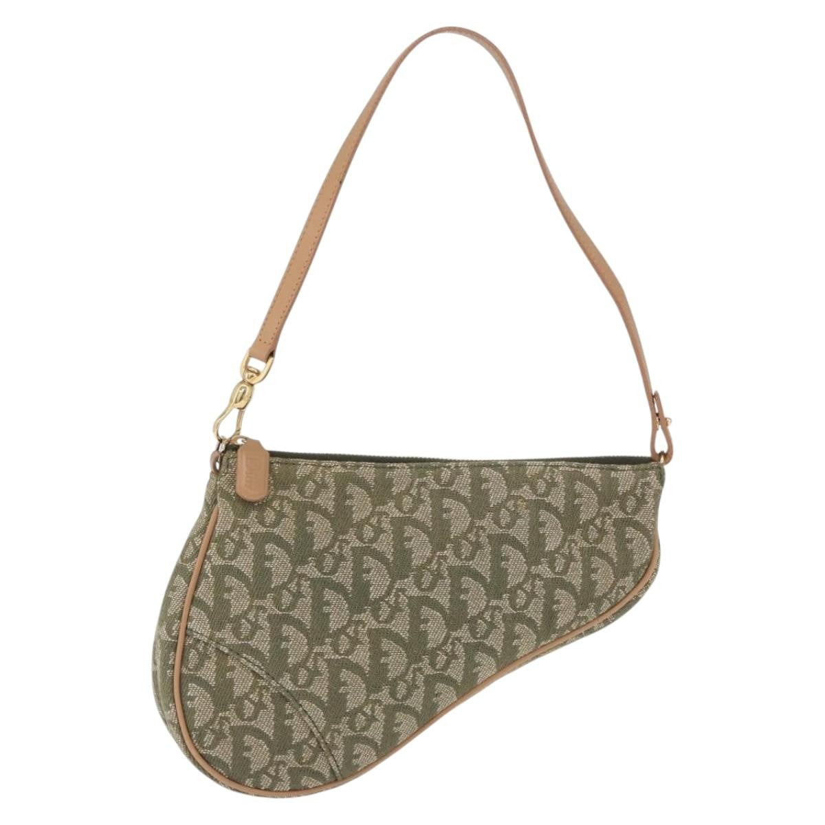 Christian Dior Saddle Canvas Mini