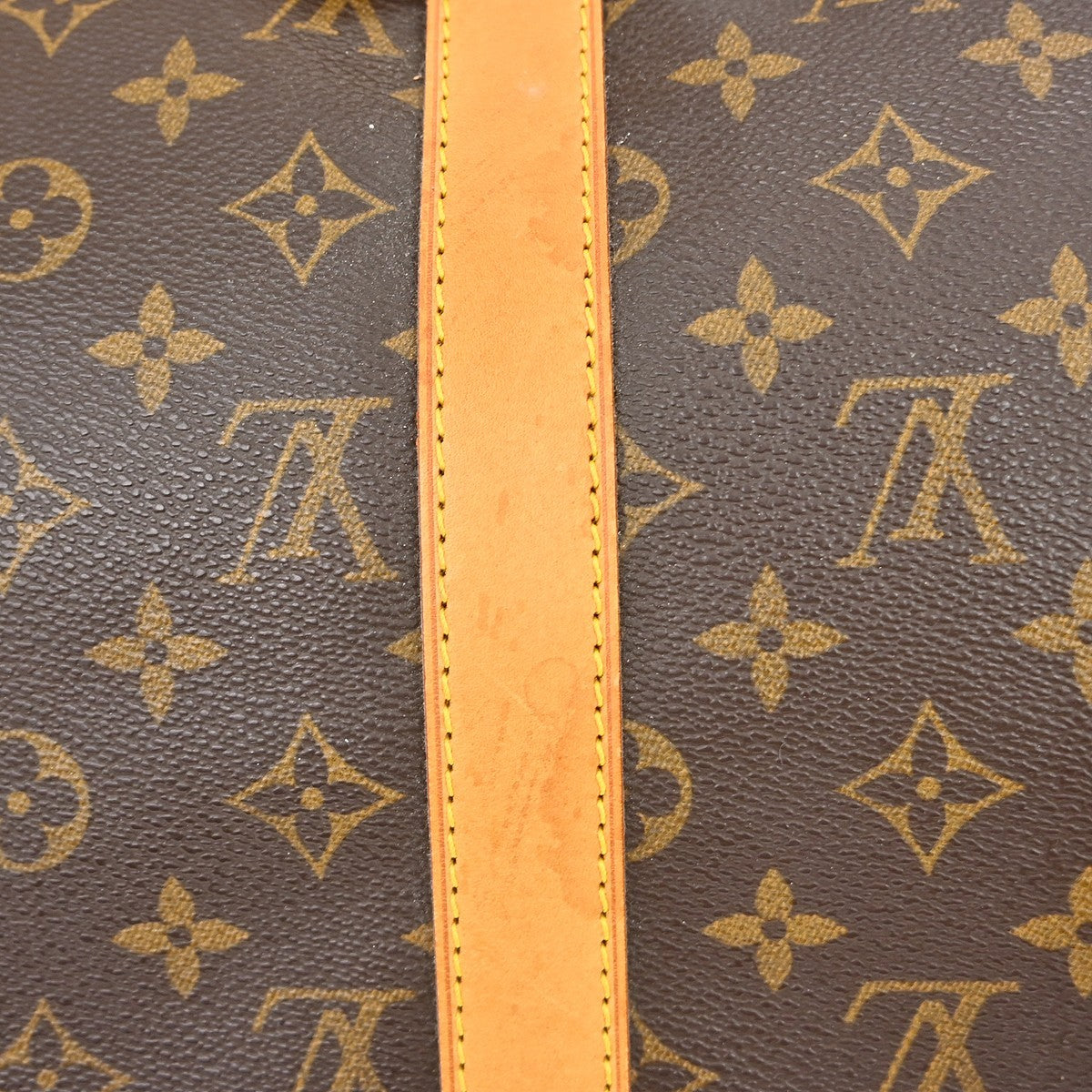 Image 13