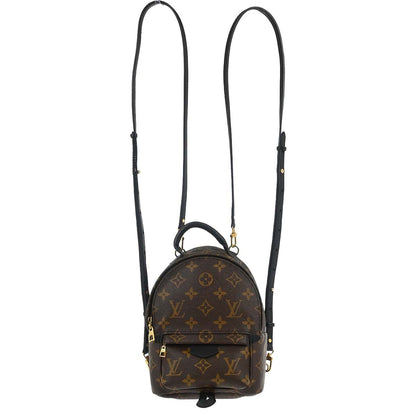 Louis Vuitton Palm Springs Backpack Monogram Canvas Mini