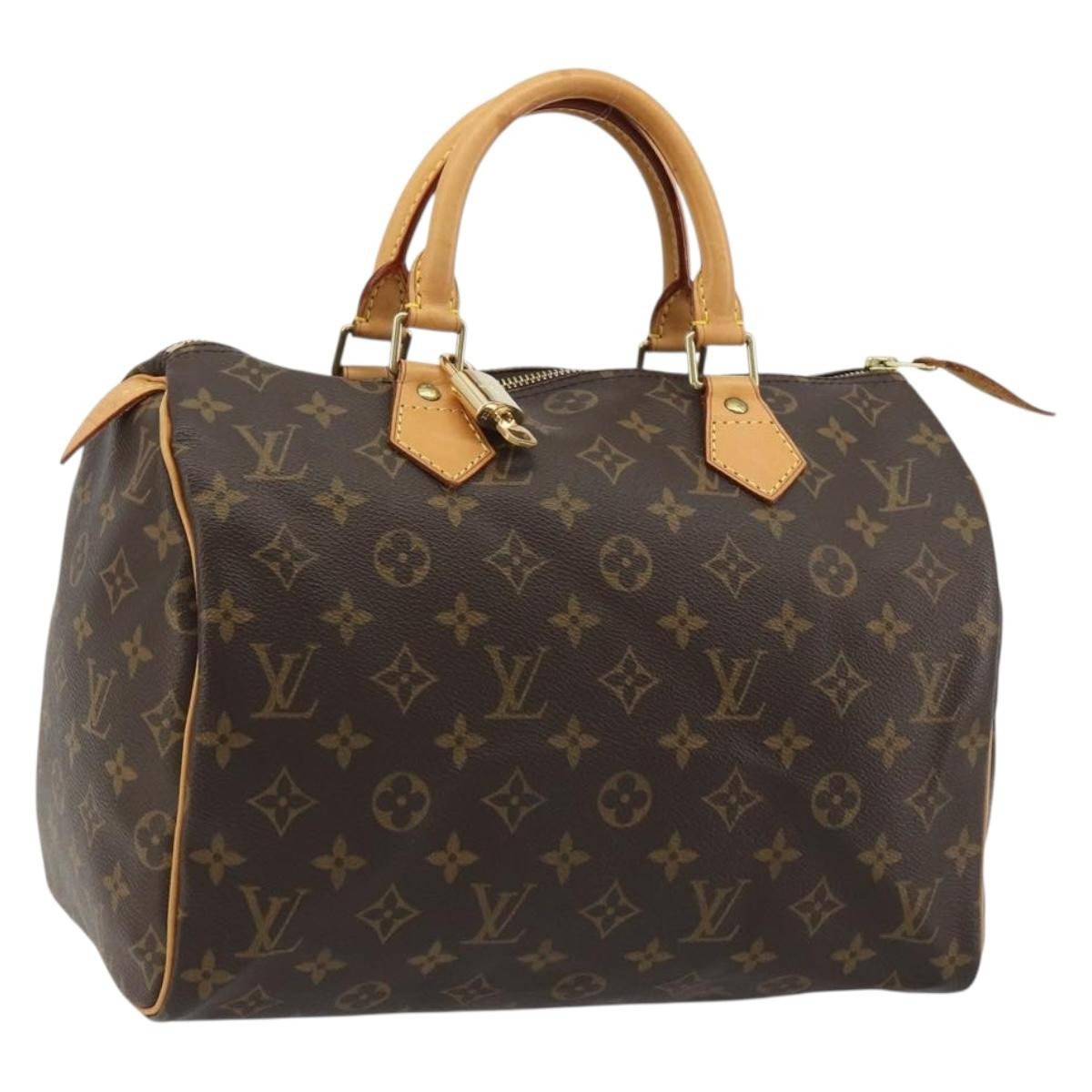 Louis Vuitton Speedy Monogram Canvas 30
