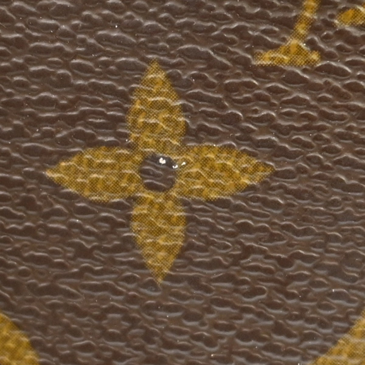 Image 13