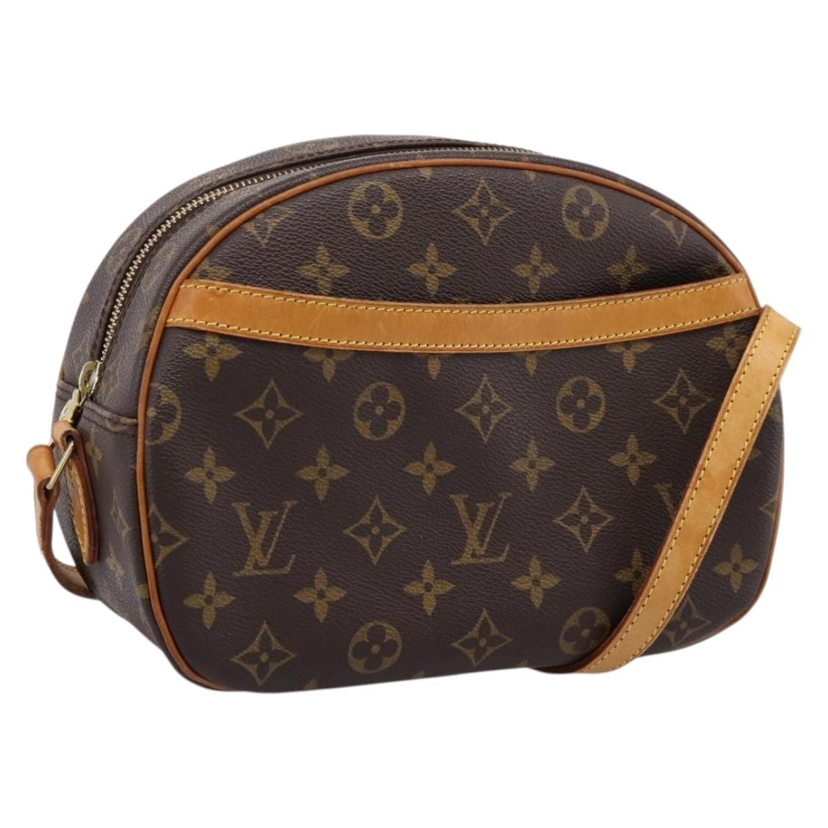 Louis Vuitton Blois Monogram Canvas Product Image