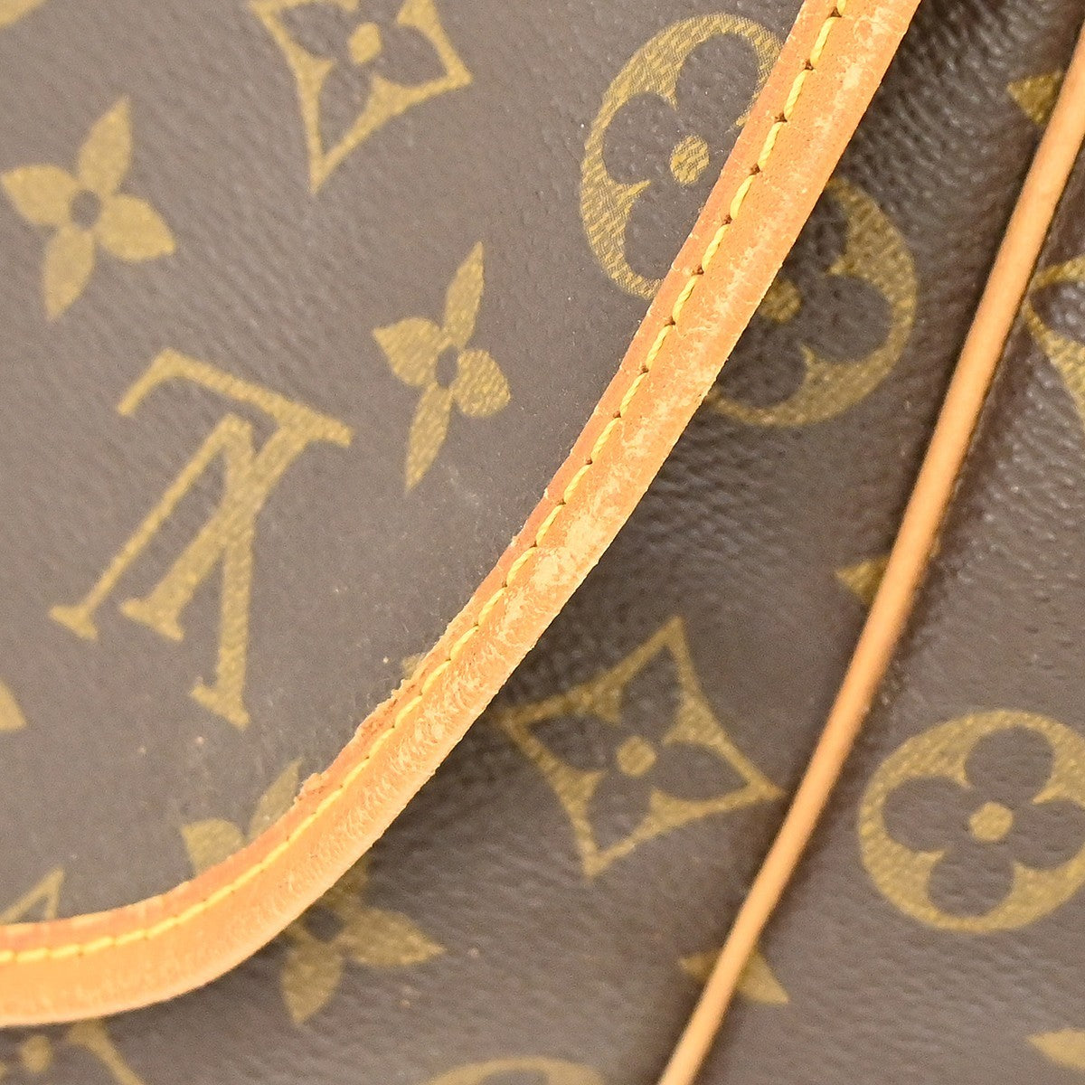Image 13
