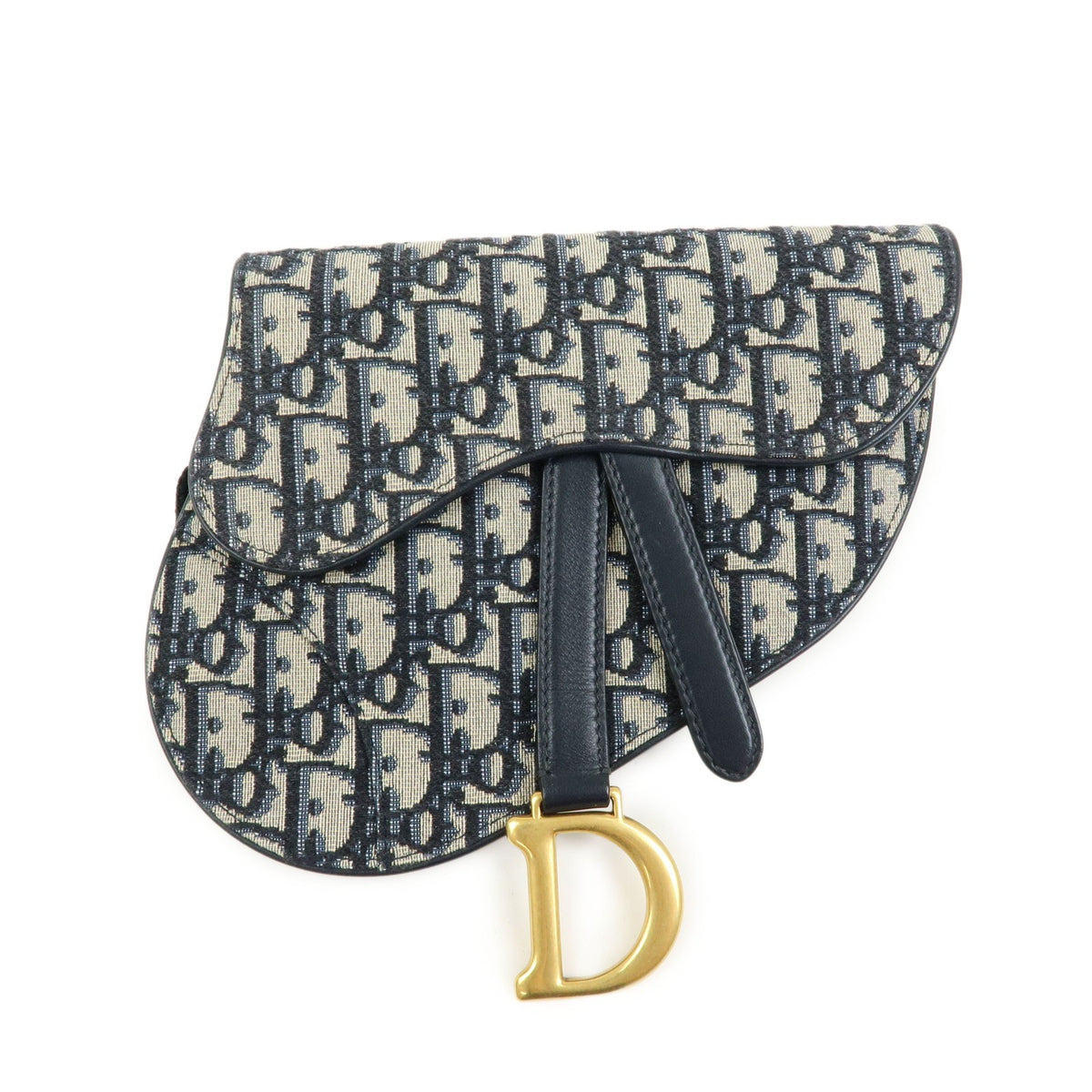 Christian Dior Saddle Belt Oblique Canvas Product Image