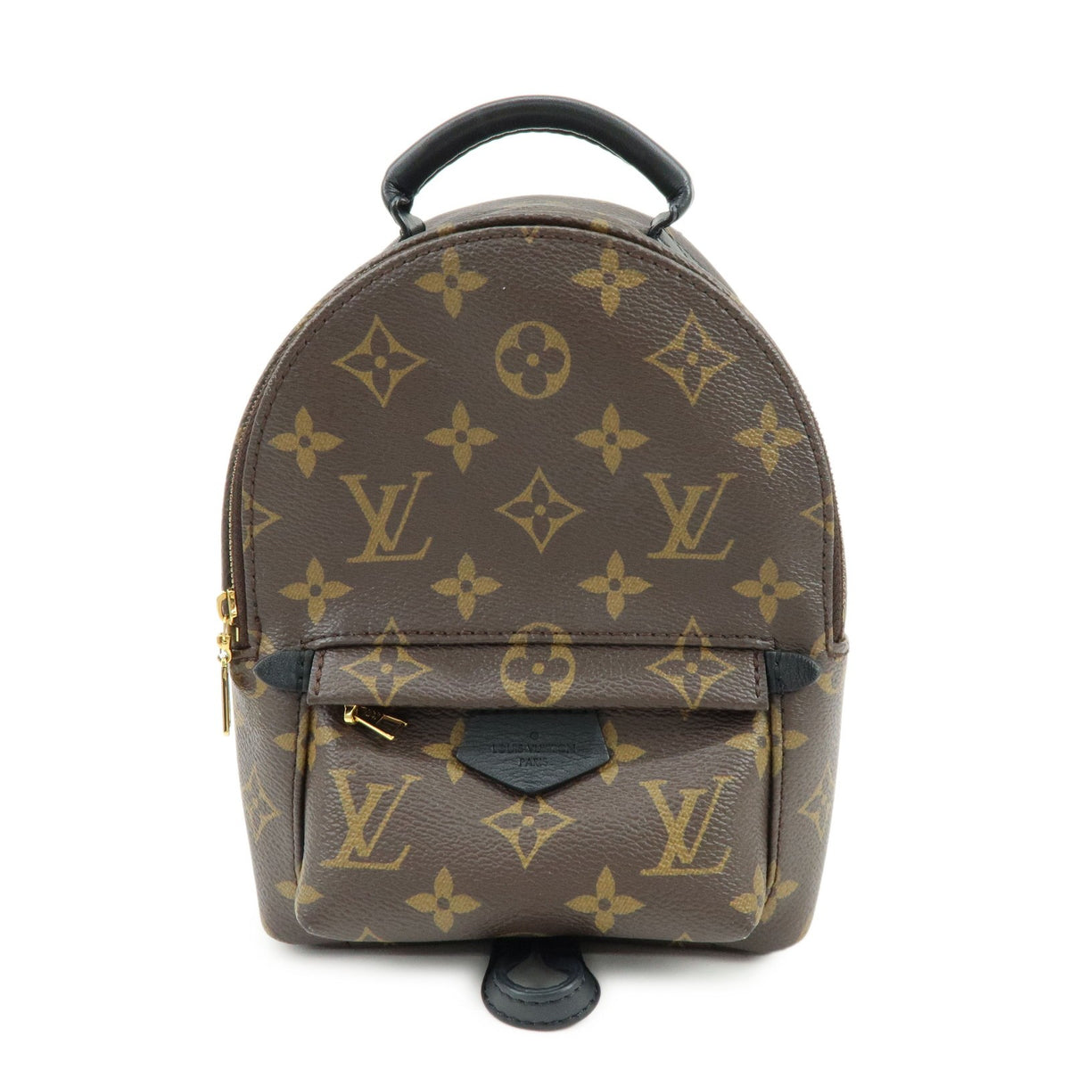 Louis Vuitton Palm Springs Monogram Canvas Mini