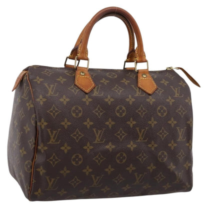 Louis Vuitton Speedy Monogram Canvas 30