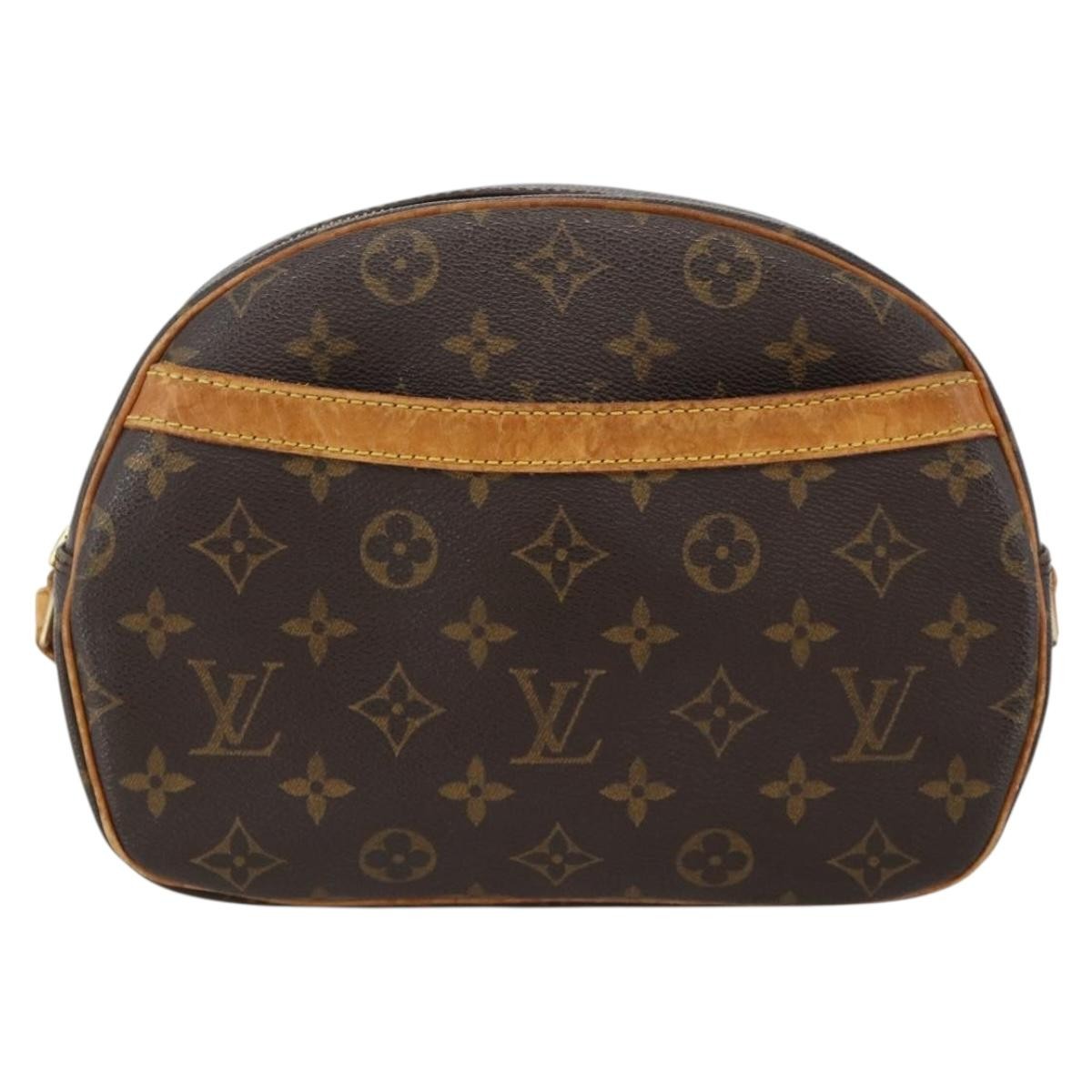 Louis Vuitton Blois Monogram Canvas Product Image