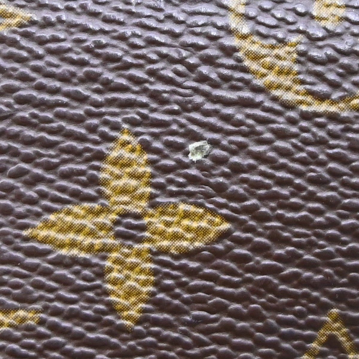 Image 16