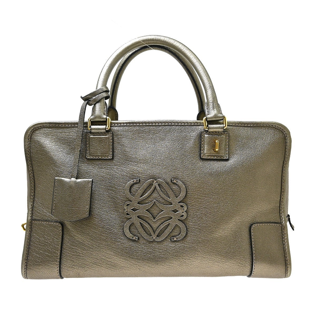 Loewe Amazona Leather 36