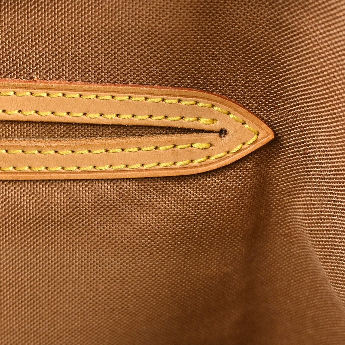 Image 15