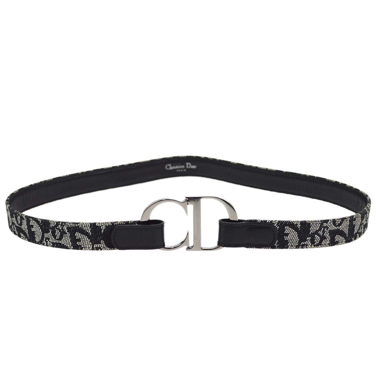 Christian Dior Vintage belt Canvas Product Image