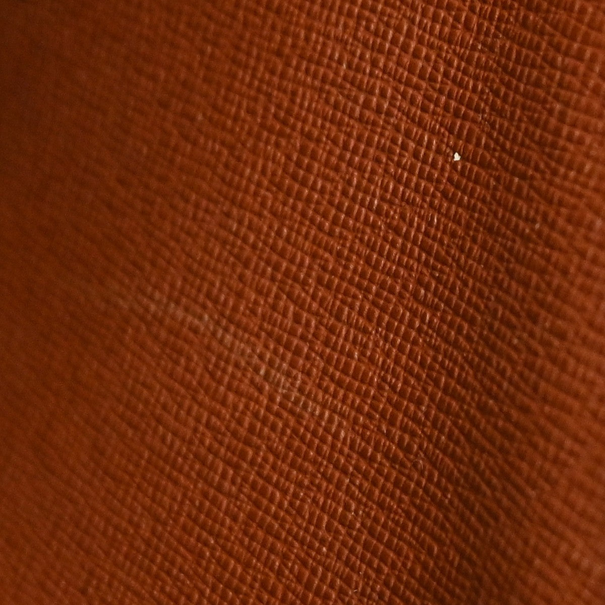 Image 13